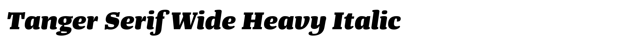 Tanger Serif Wide Heavy Italic image